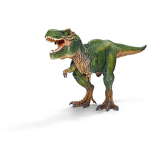 Load image into Gallery viewer, Tyrannosaurus Rex
