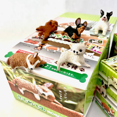 Playful Hanging Dogs Blind Box