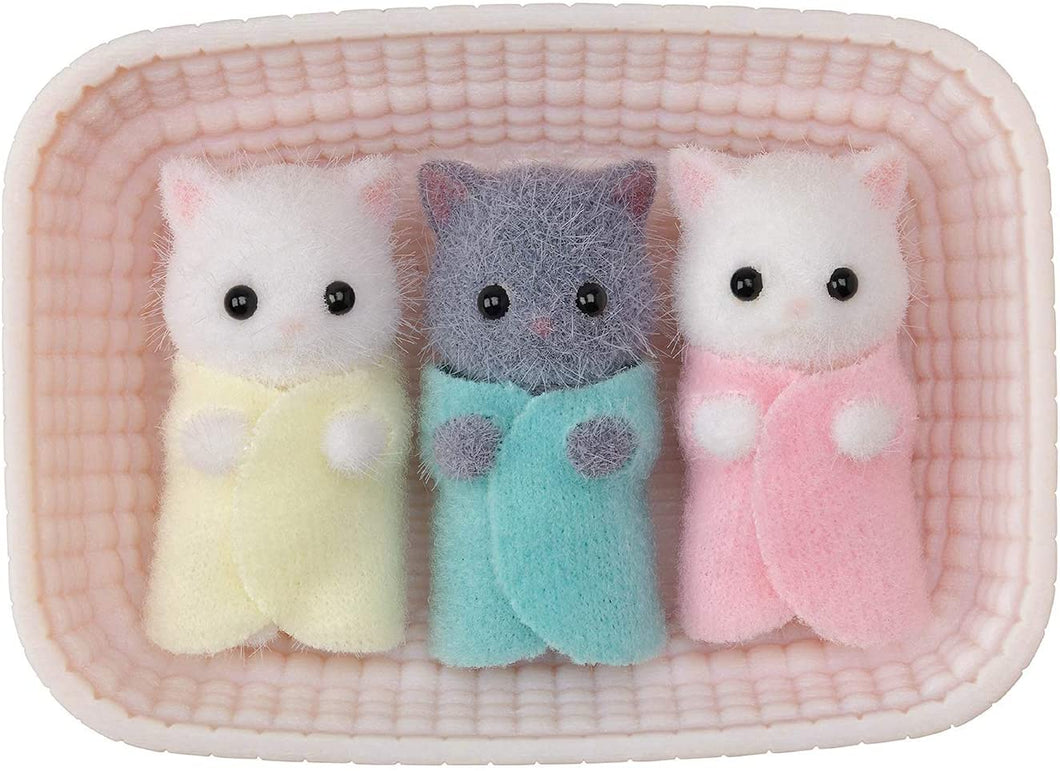 Persian Cat Triplets - TREEHOUSE kid and craft