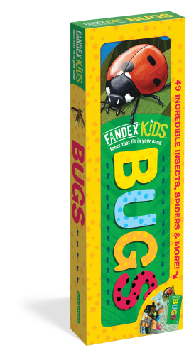 Fandex Kids | Bugs - TREEHOUSE kid and craft