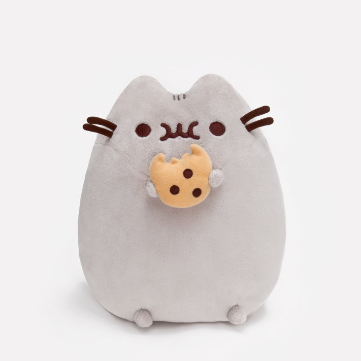Pusheen with Cookie - TREEHOUSE kid and craft