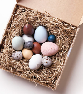 A Dozen Bird Eggs - TREEHOUSE kid and craft